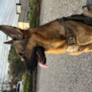 Meet your Posher, Robert